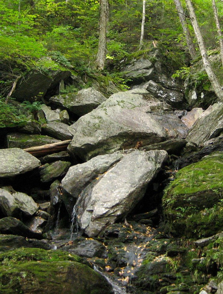 waterfall which attracts mosquitos 