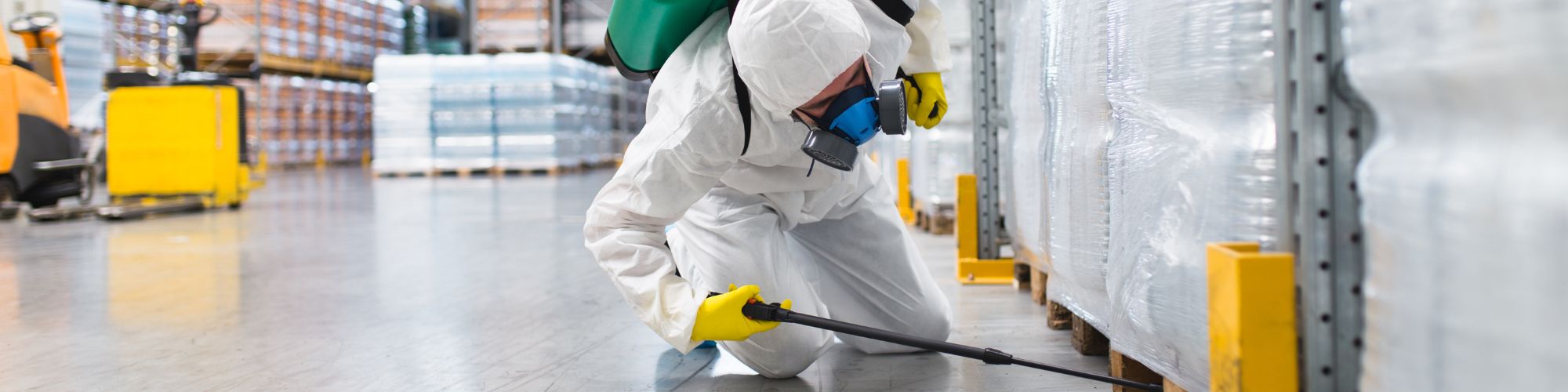 Bedford Pest Control Eastern Pine Pest Control