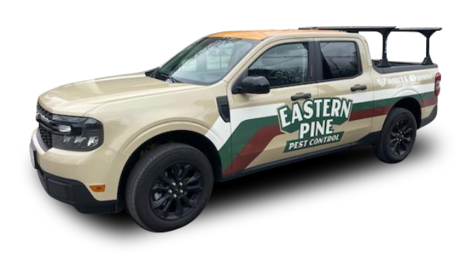Eastern Pine Pest Truck