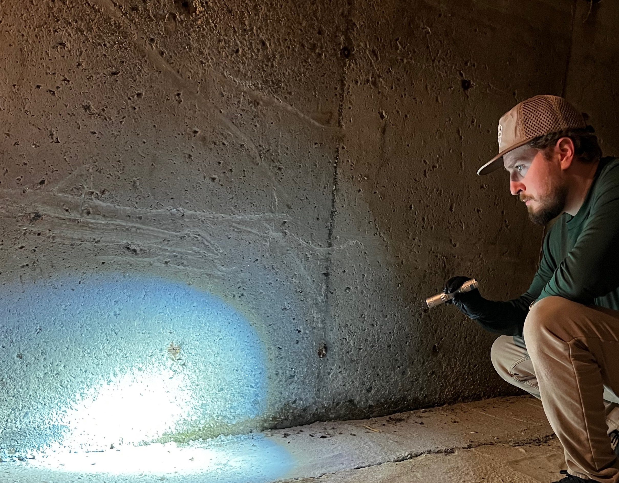 Pest Control Technician Inspecting Basement