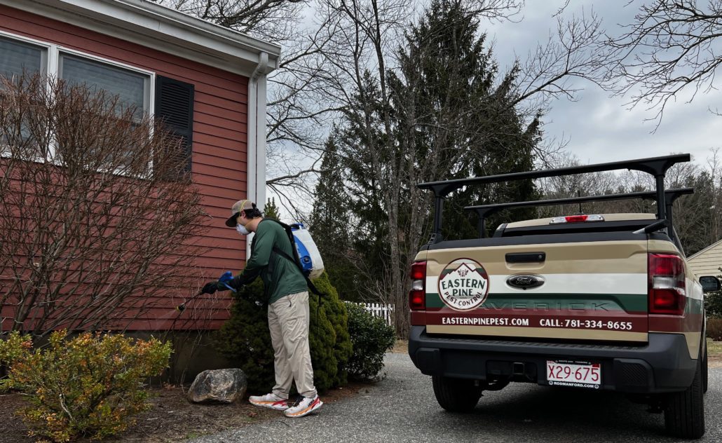 Pest Control Reading Effective Pest Control Solutions for Commercial Properties in North ...
