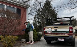 Eastern Pine Pest Control Technician Spraying a Foundation