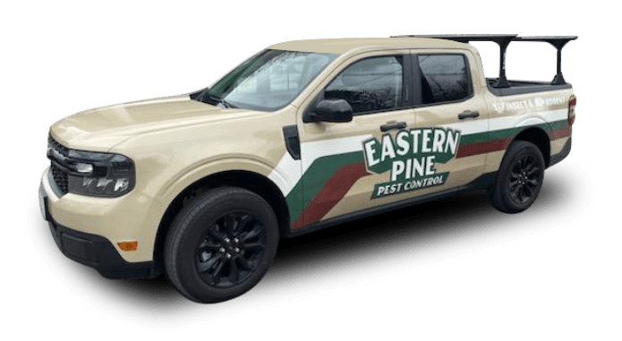 eastern-pine-truck