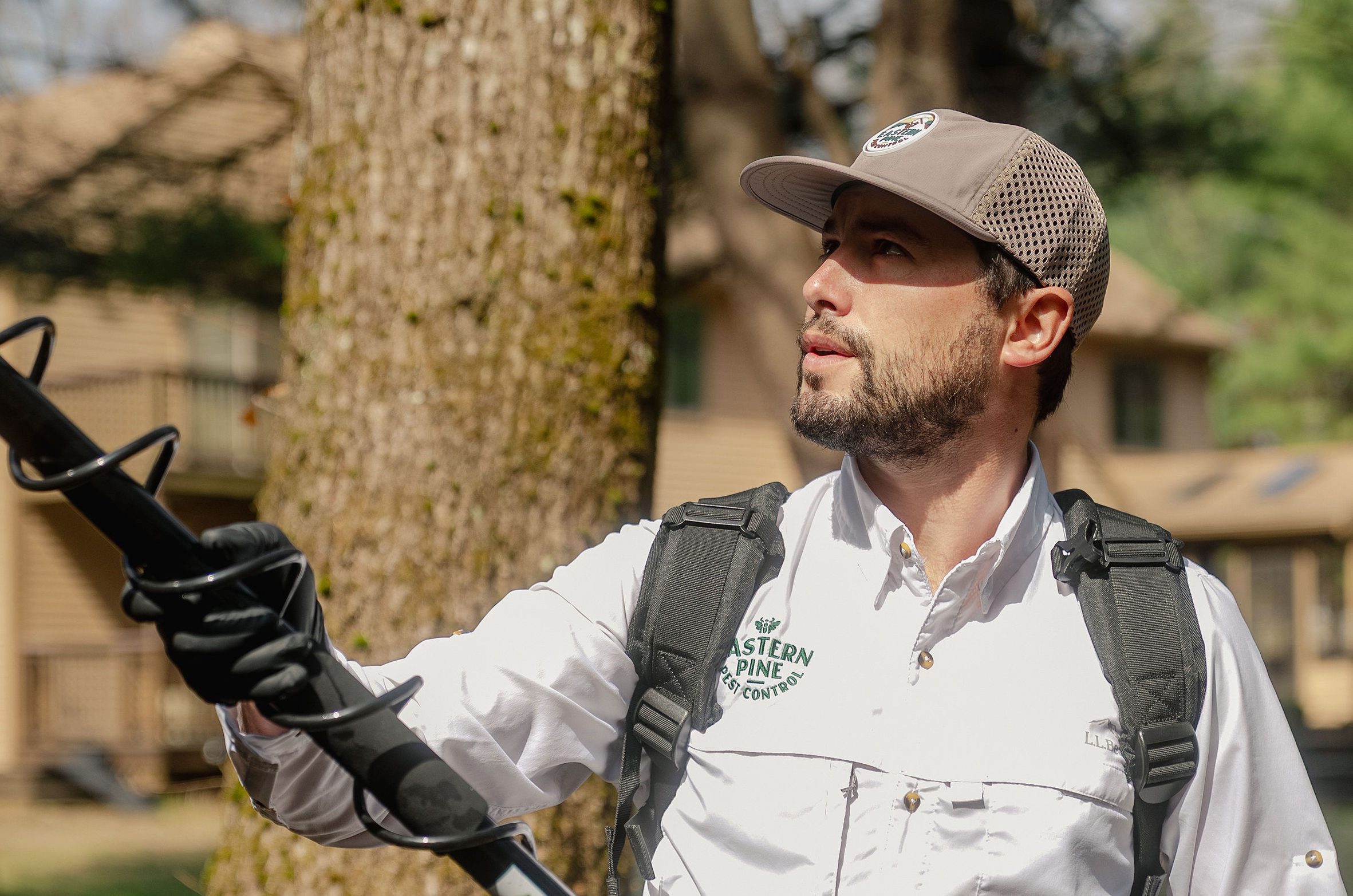 Tanner - Eastern Pine Pest Control