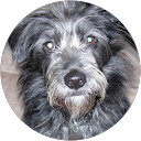 Linda Harrison profile picture